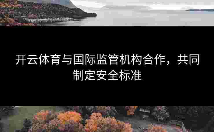 开云体育与国际监管机构合作，共同制定安全标准