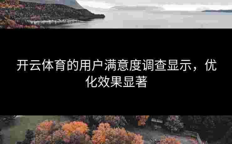 开云体育的用户满意度调查显示，优化效果显著