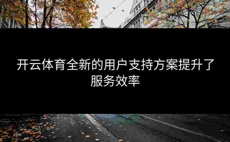 开云体育全新的用户支持方案提升了服务效率
